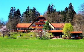 Guesthouse Pri Cebelici